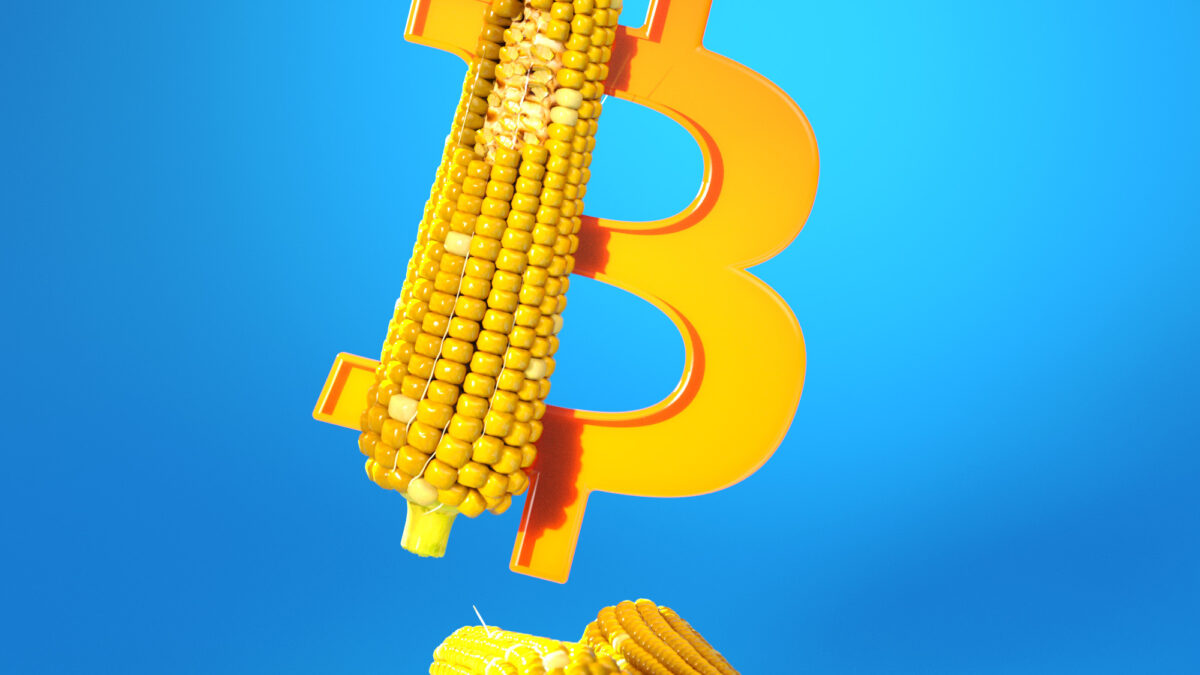 BITCOIN TWITTER IS SO BACK — AND IT FEELS LIKE 2020 AGAIN