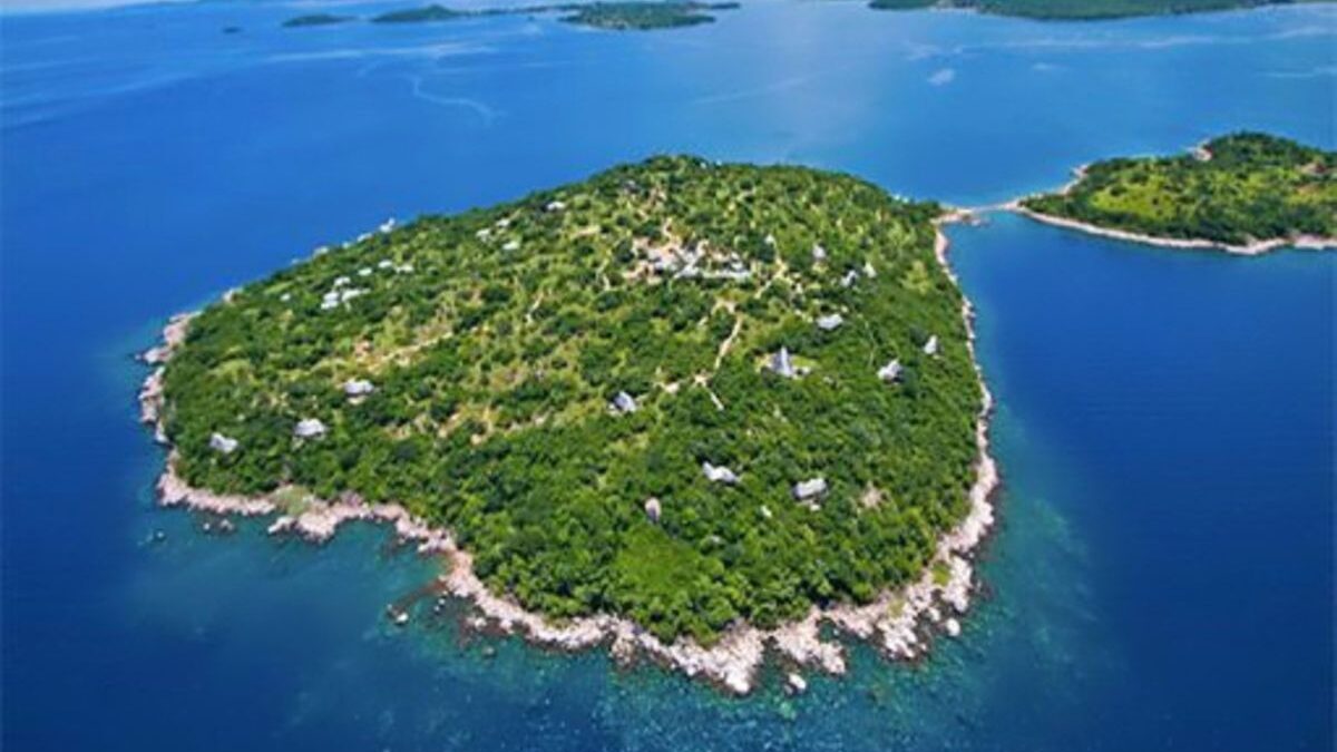 THE BITCOIN BILLIONAIRE IS SELLING HIS ISLAND FOR COWS — AND THE GOVERNMENT JUST TOLD HIM HE DOESN’T EVEN OWN IT